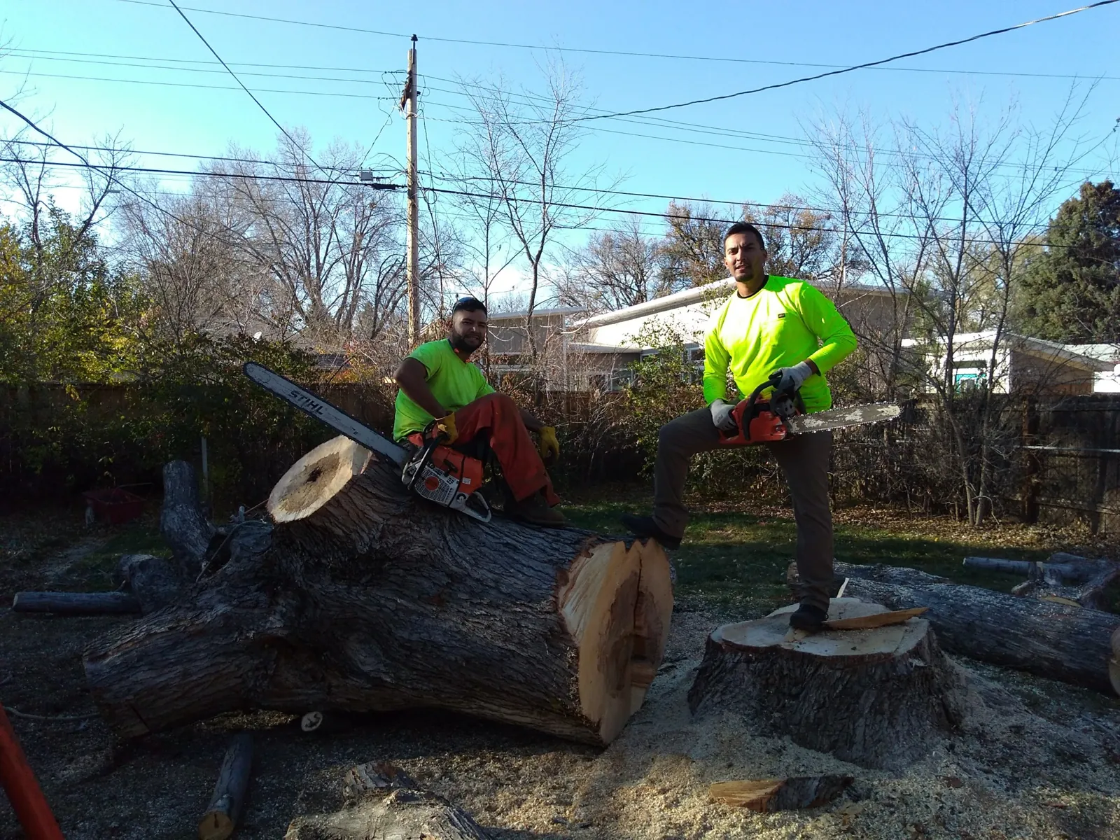 Devora crew with chainsaws after removing a large cottonwood