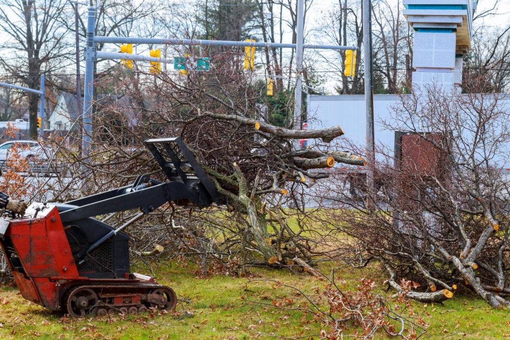 Wood chipper machine releasing the shredded woods into a truck chipper machine to remove