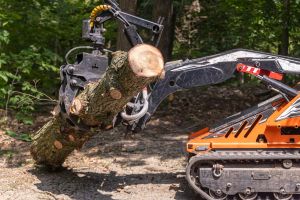 Mini skid steer loader is moving a large tree trunk in a forest, showing its power and versatility for forestry work. Selective focus