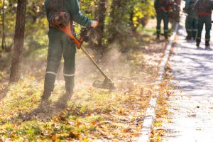 On a clear autumn day, workers trim grass along a park path. The sunlight filters through the trees, creating a warm atmosphere as they remove fallen leaves.