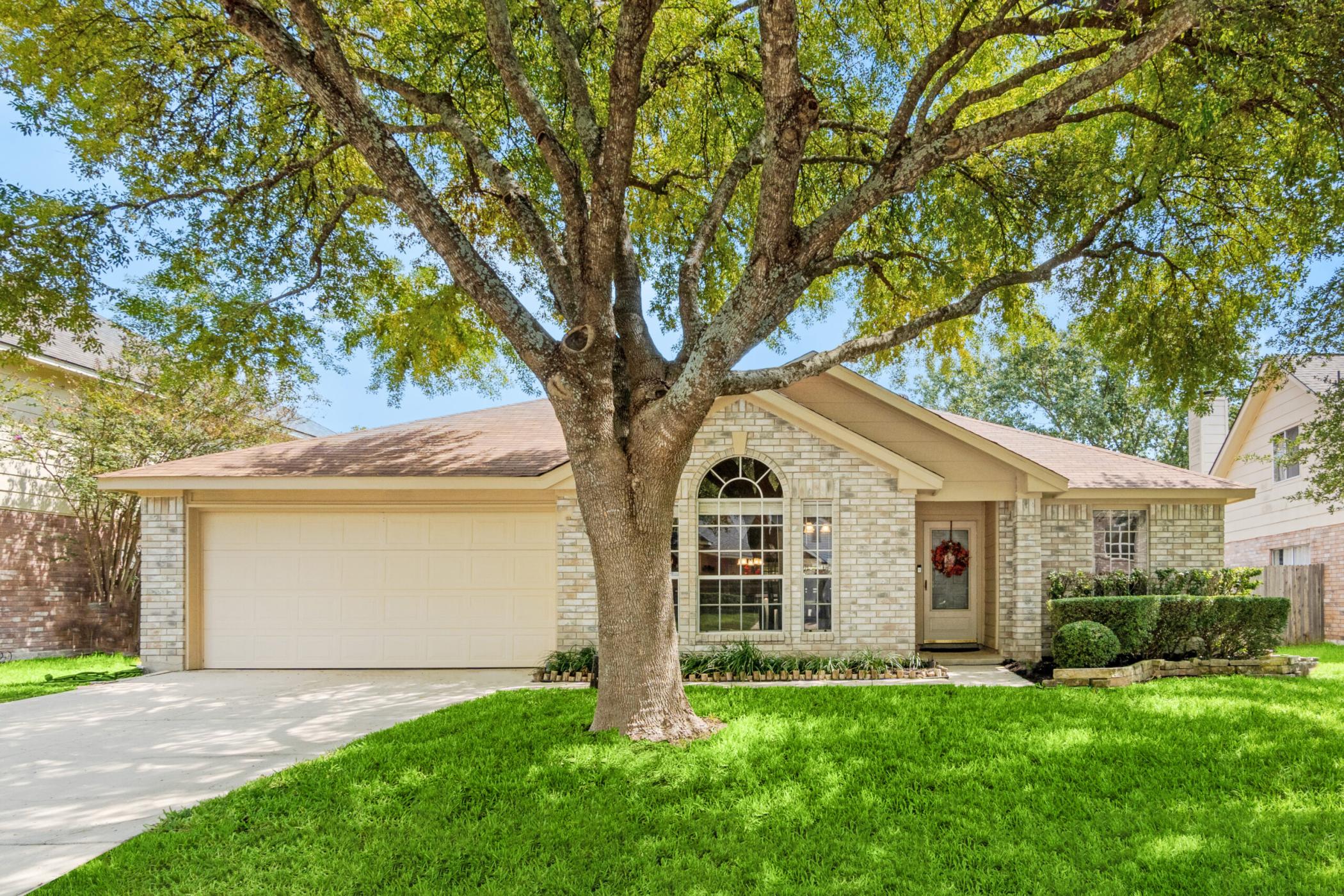 Deep Roots Denver Deep Root Tree Fertilization & Soil Care Denver, CO - Devora Tree Services